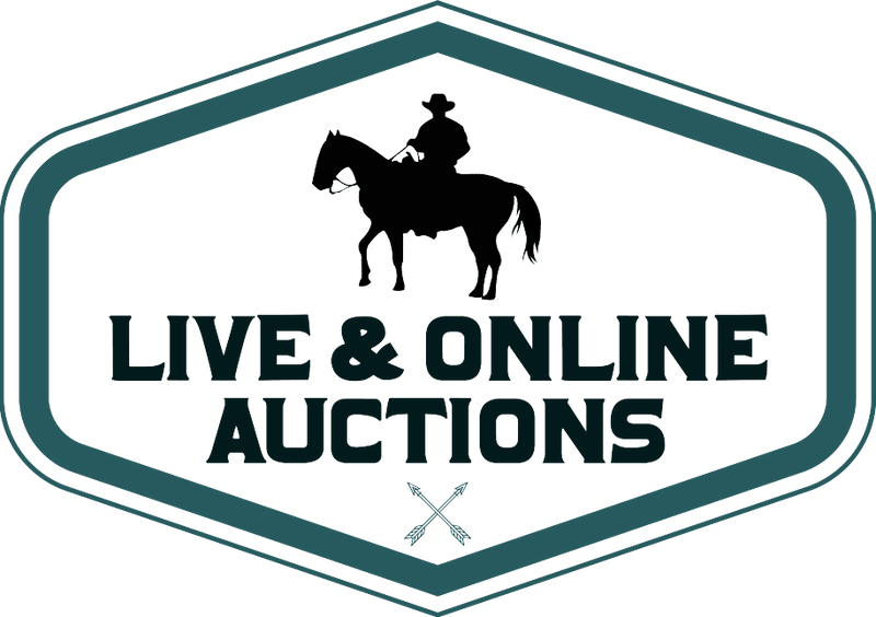 Rod Fivecoat Auctions Idaho Farm Heavy Equipment Online Auctions